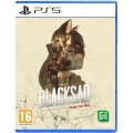 Blacksad: Under The Skin (русская версия) (PS5)