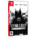 Dying Light: Platinum Edition (русские субтитры) (Nintendo Switch)